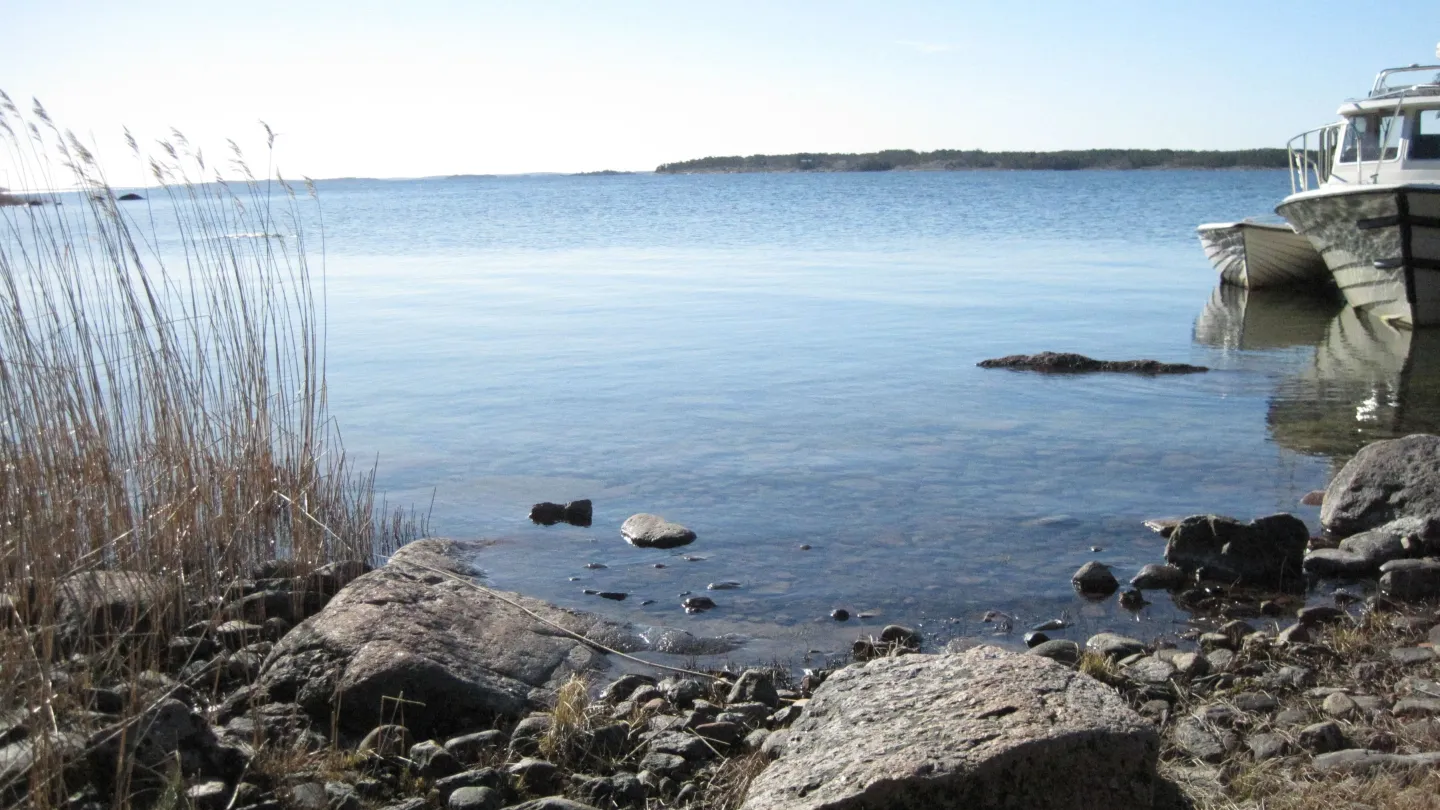 Sviskär erakkomaja, Silverskär