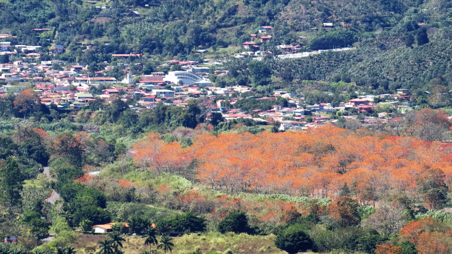 Rinconcito Verde 