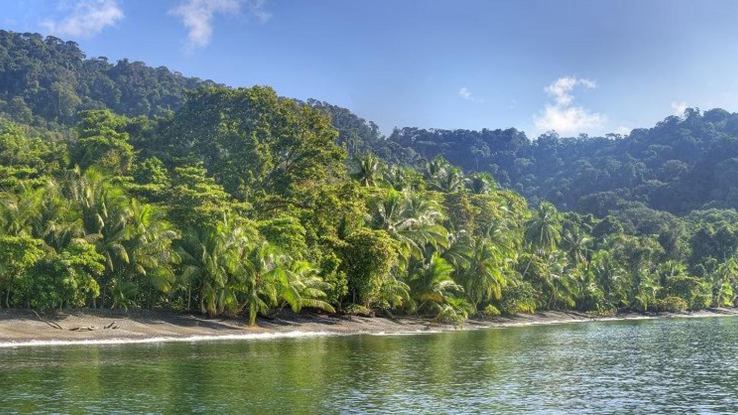 Playa Nicuesa Rainforest Lodge 
