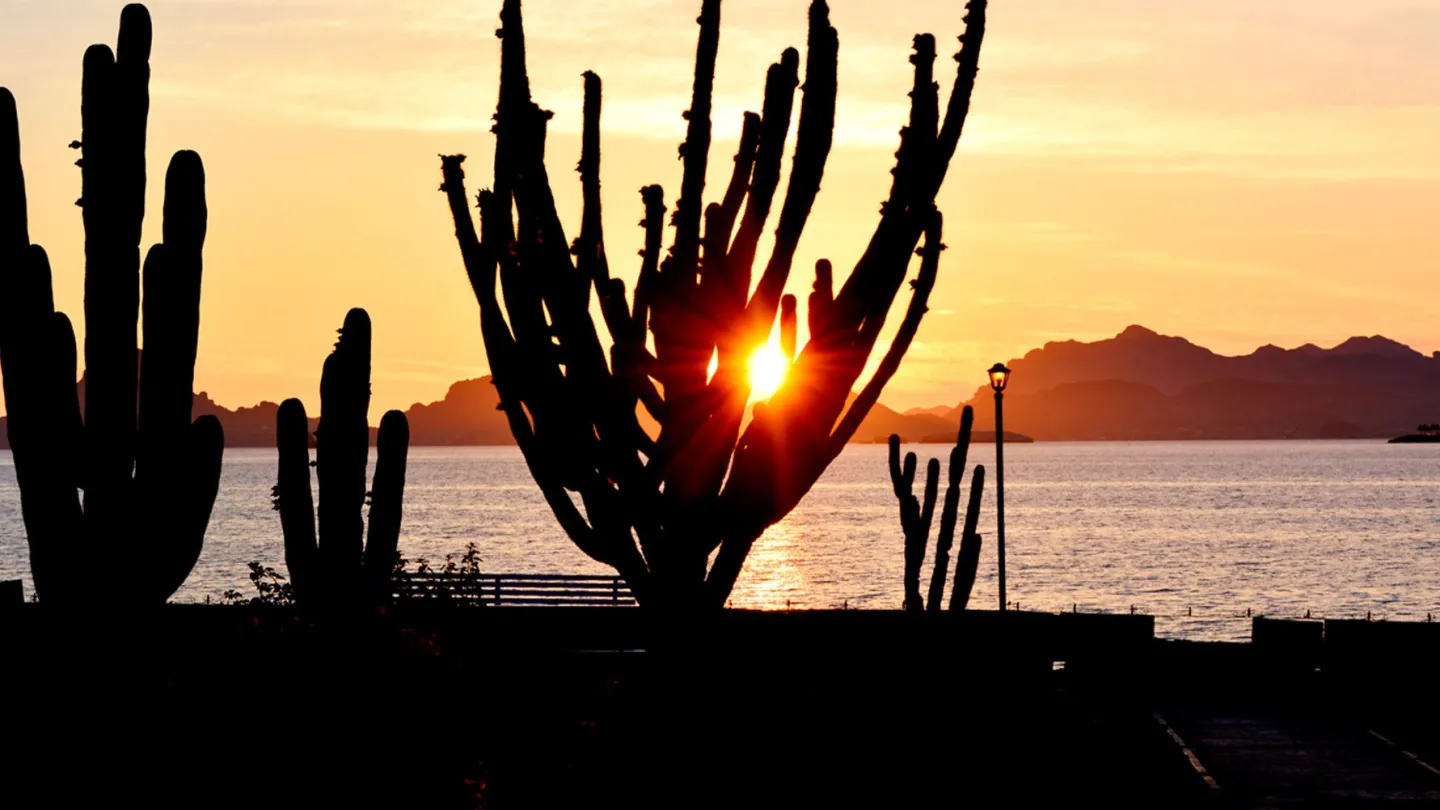 HOTEL PLAYA DE CORTES