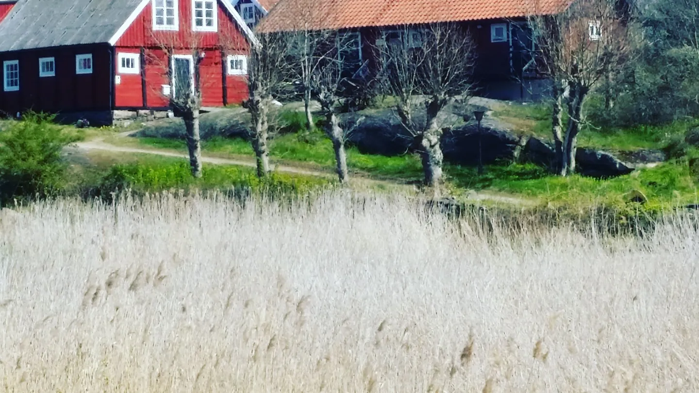 Tjärö