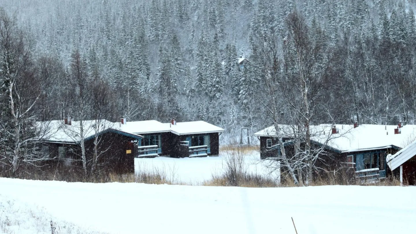 Cosy mountain cabin in Bydalsfjällen!