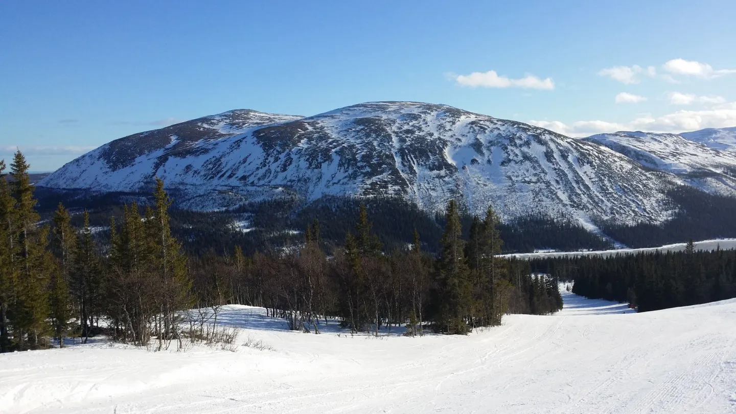 Cosy mountain cabin in Bydalsfjällen!