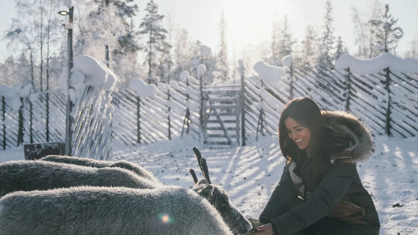 Northern Lights Ranch