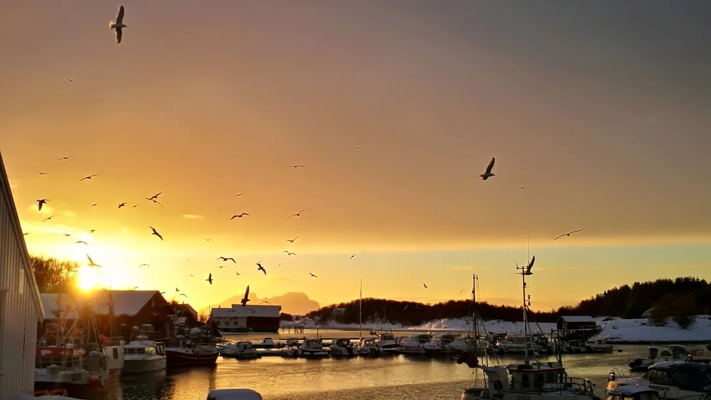 Kjerringøy Bryggehotel