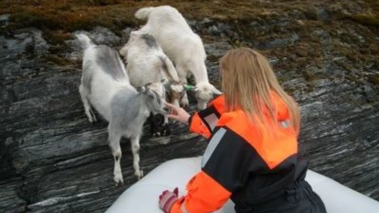 Flåmsbrygga Hotell AS