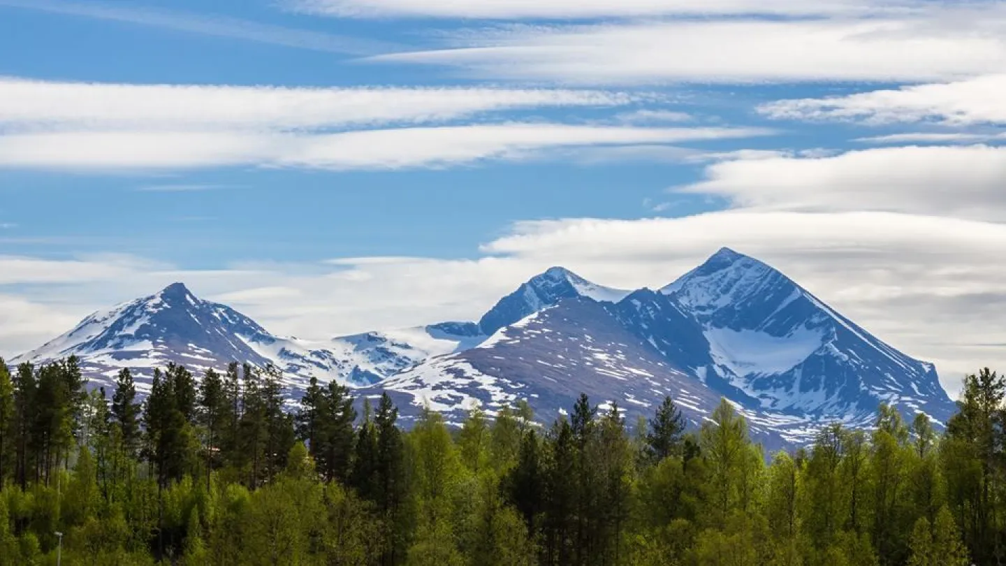 Bardufoss