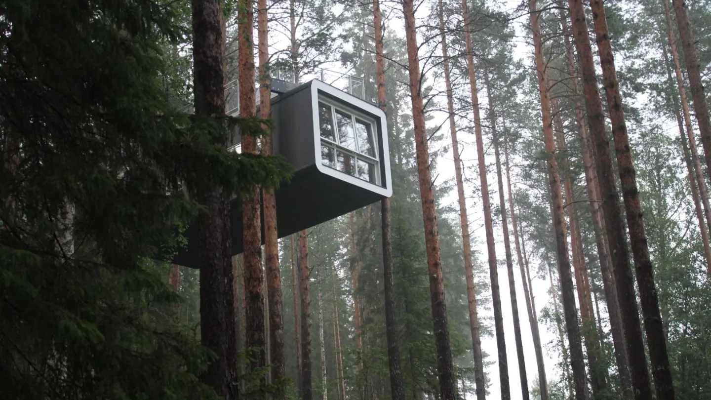 This is Treehotel