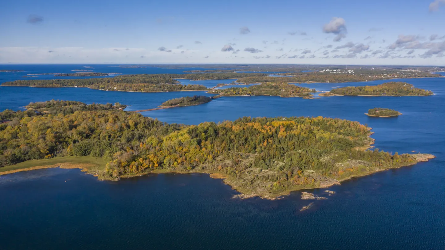 Nåtö 2−3,3 km − lehdesniityn mykistävän kaunis keväinen kukkaloisto