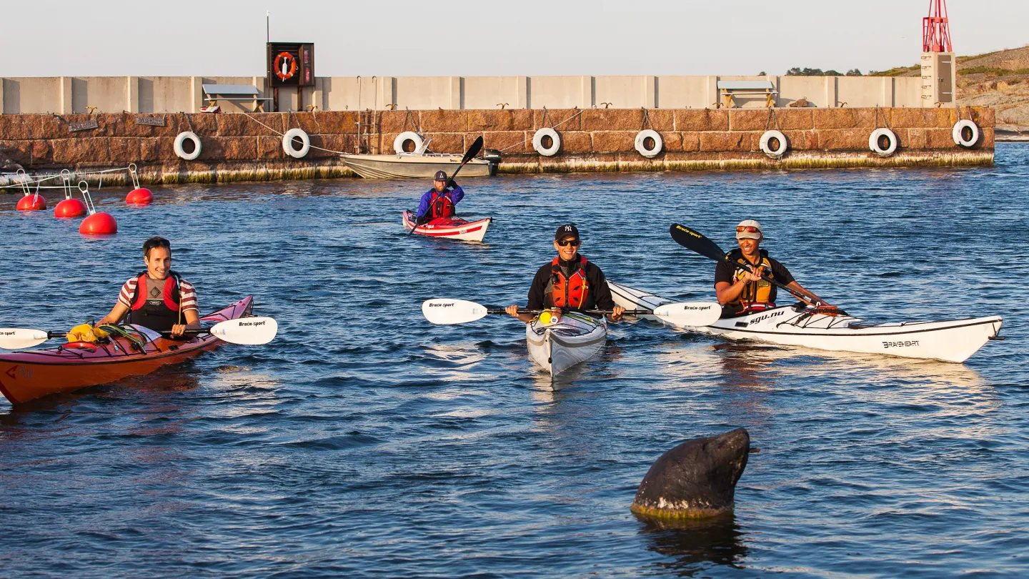 Paddling